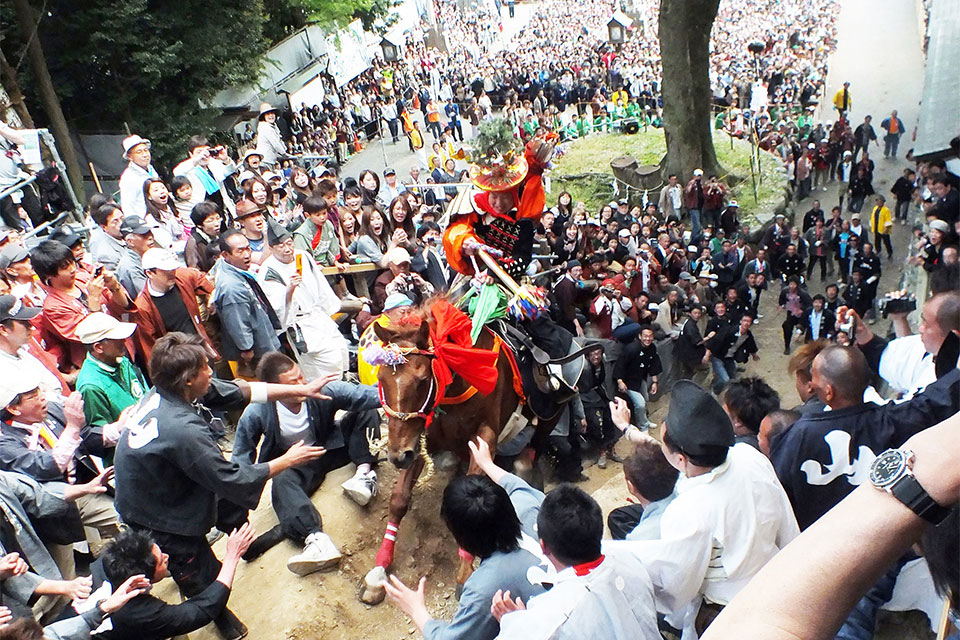 Tado Festival (Raised Horse Ritual)