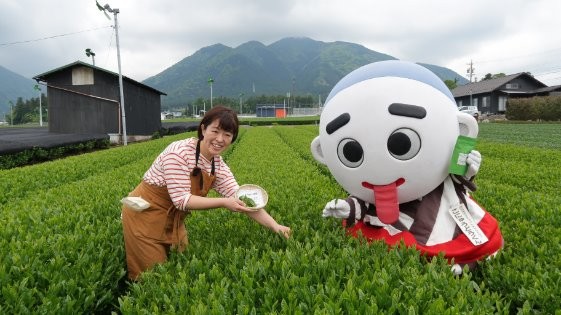 （要予約）お茶体験茶畑見学＆かぶせ茶の品種飲み比べ膳​